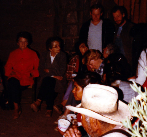 Farm Party